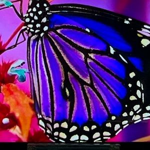 Meet your Posher, Abra